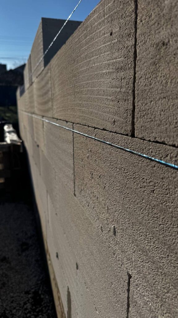 photo 2026 01 23 10 38 35 photo 2026 01 23 10 38 35