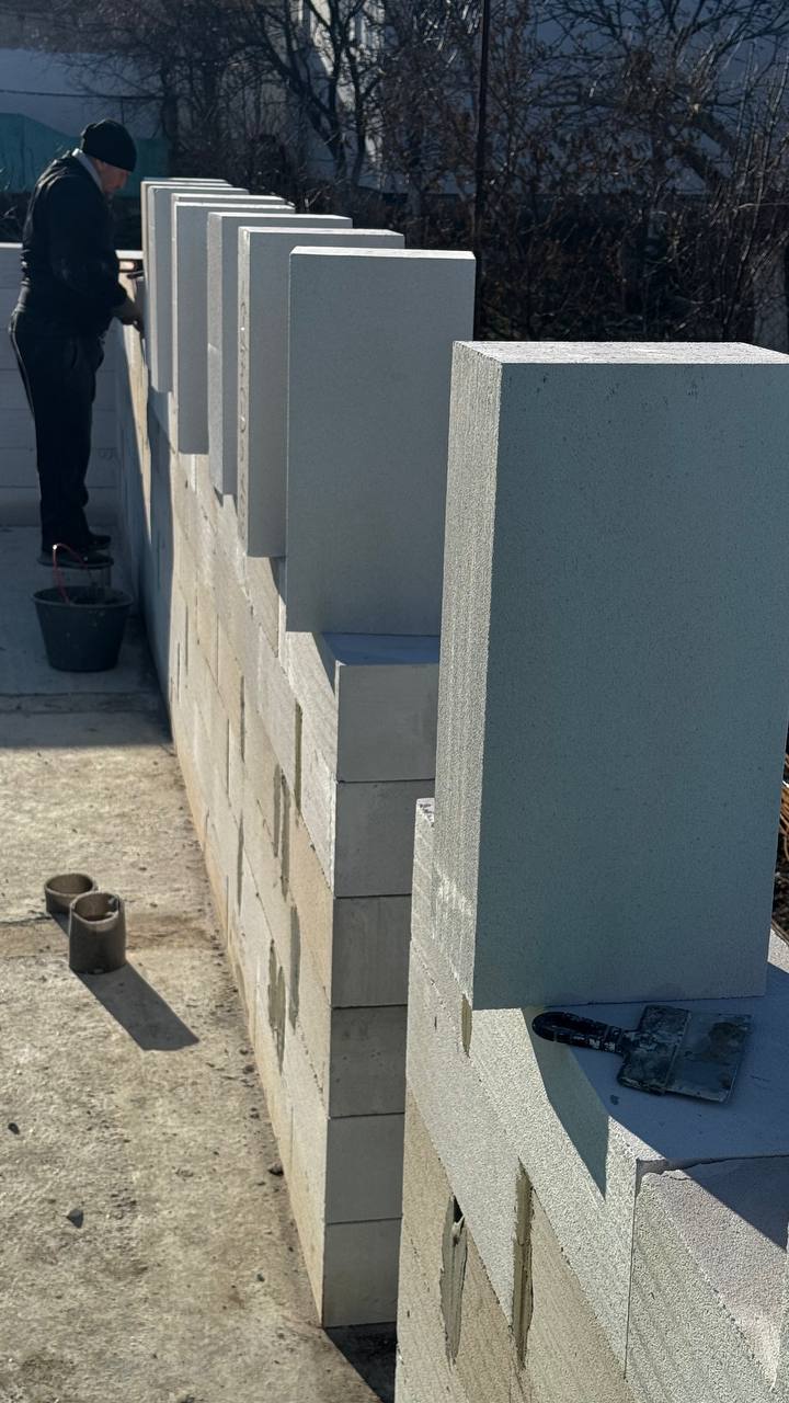 photo 2026 01 23 10 38 36